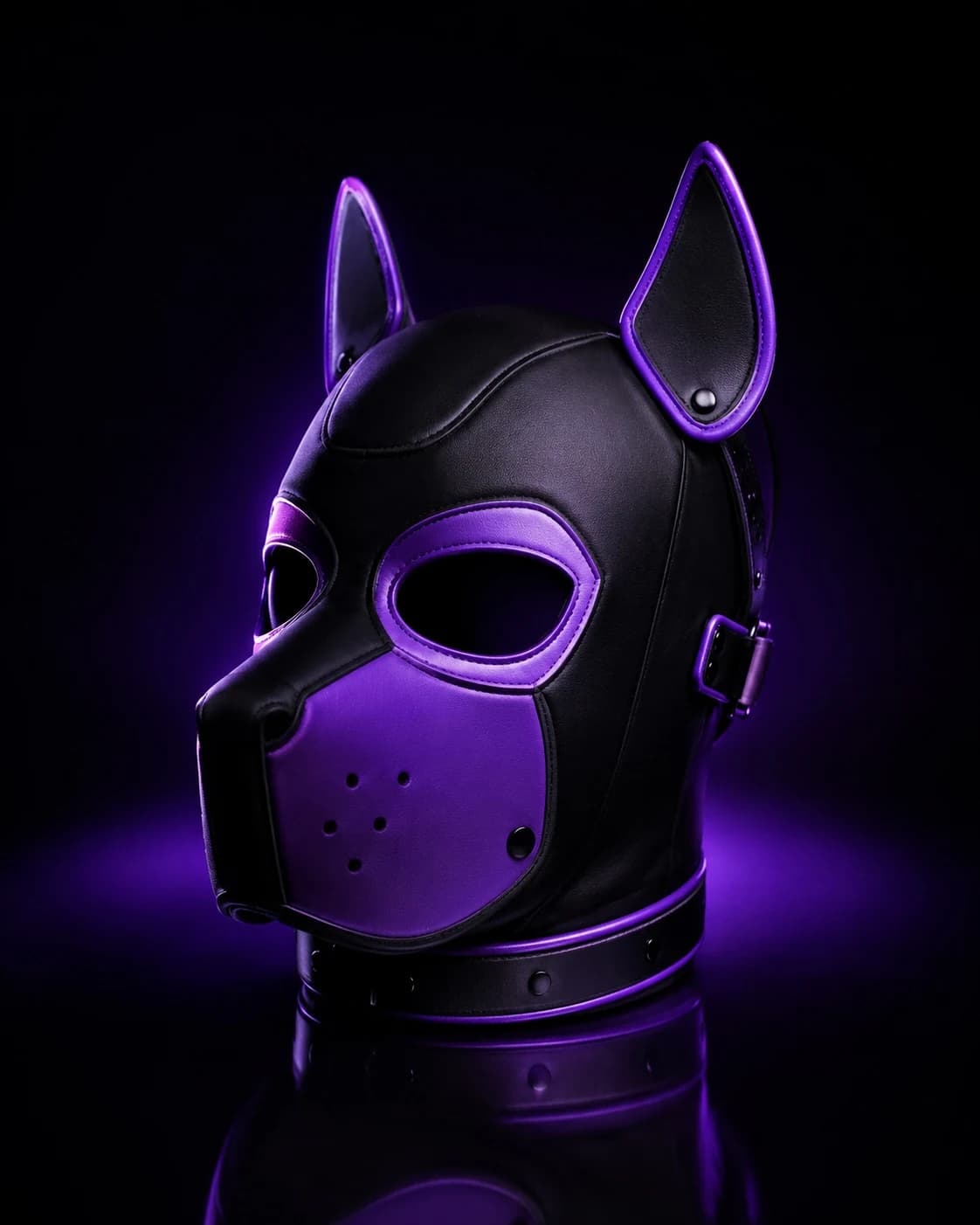 Black and ultraviolet pup hood